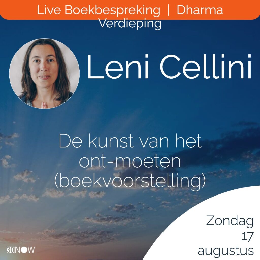 Online boekvoorstelling ~ De kunst van het ont-moeten @ 30NOW